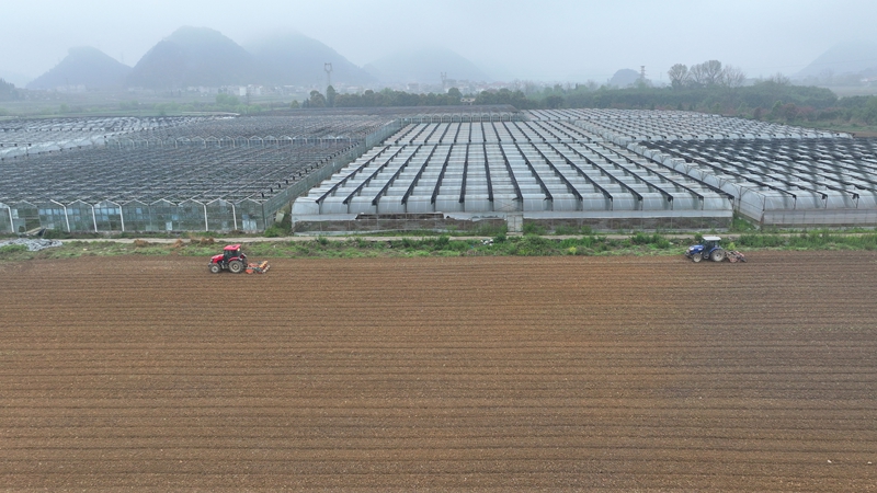平壩:“鐵牛”馳騁在沃野間 機械化助力春耕生產。