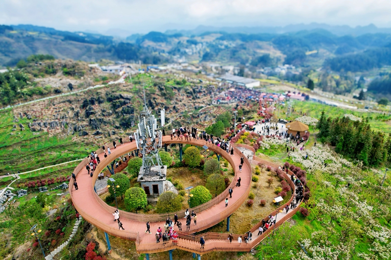 貴州·沿河·黑水鎮“桃李歡喜園” 航拍 田洪兵 攝.jpg