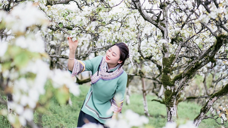 游客在“桃李歡喜園”賞花 嚴秀瑩 攝.jpg