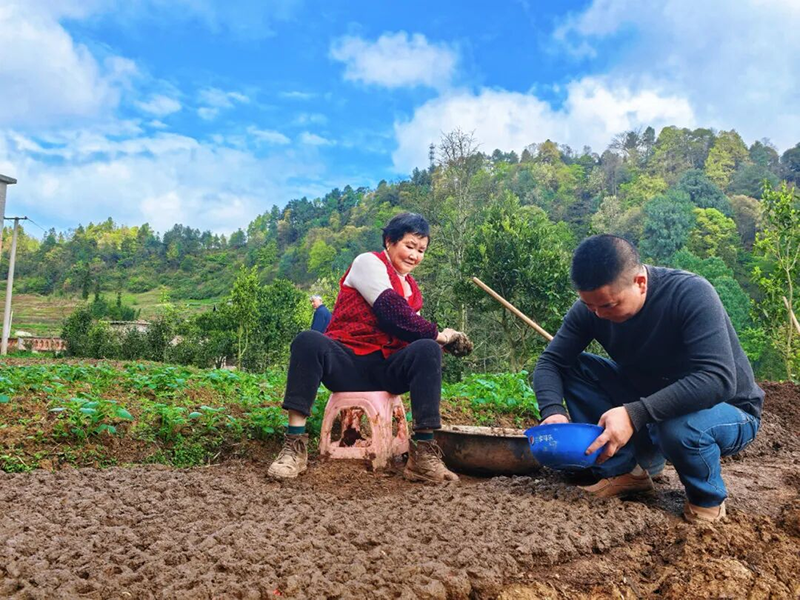 細致育苗備移栽,繪就馬皇壩春耕好圖景。