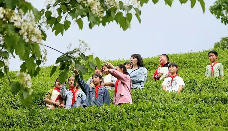 安鳳帶領學生到田間地頭體驗鄉土生活。