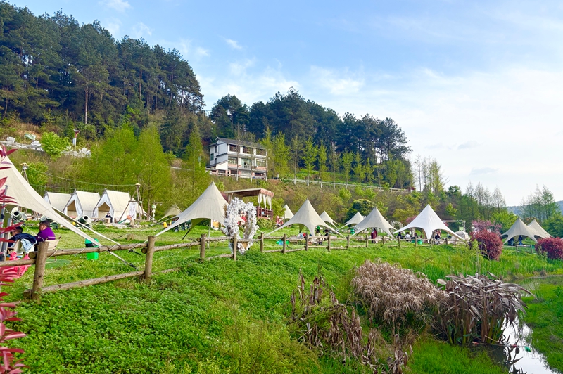 1、春日田園風(fēng)光盡收眼底，景區(qū)內(nèi)的露營基地人氣爆棚。.jpg