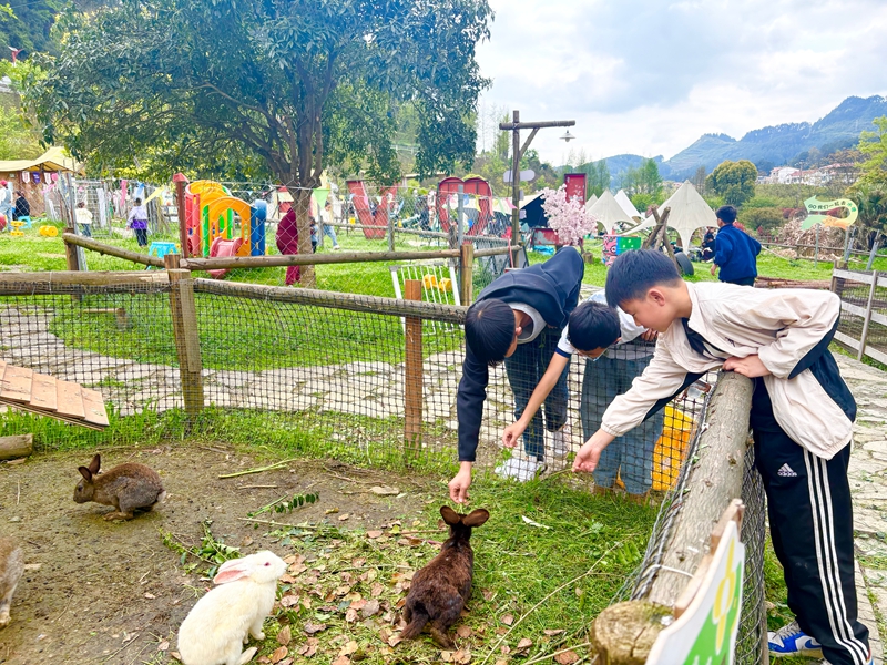 4、游客在基地的萌寵樂園喂養(yǎng)寵物 。.jpg