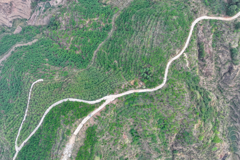 4月7日的威寧自治縣金鐘鎮寨營村櫻桃種植基地一角。趙慶能攝