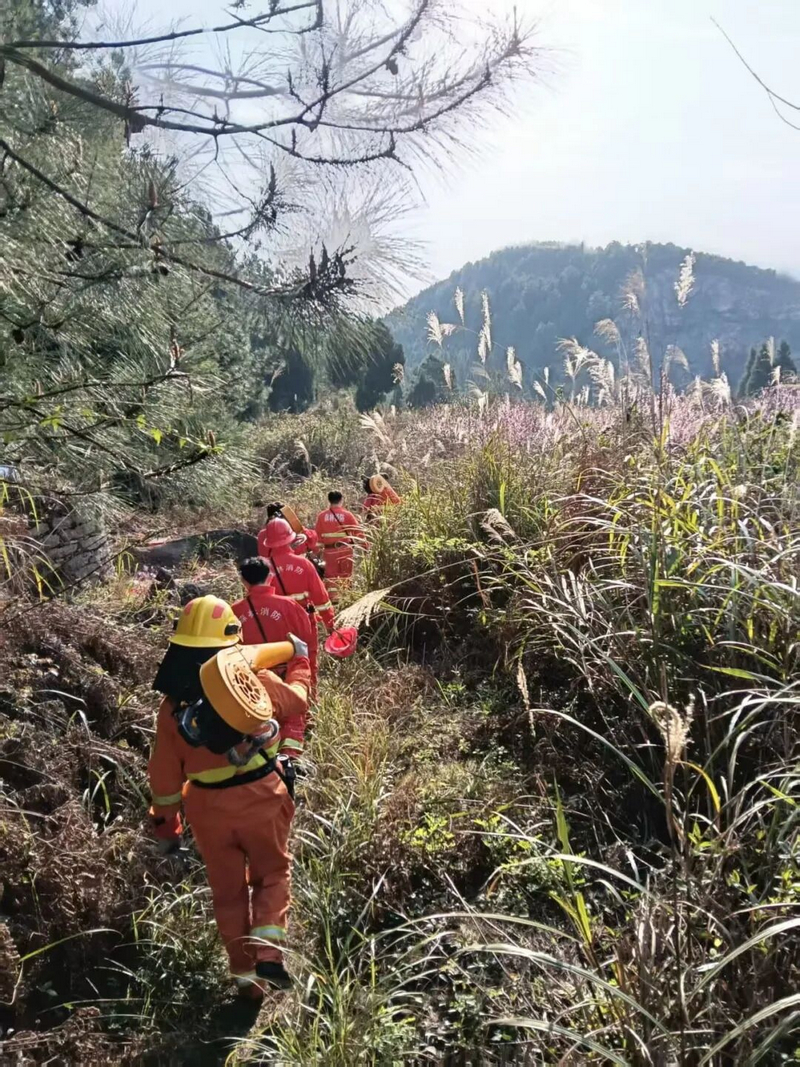 消防隊員深入林間巡查。