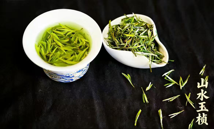 野生生態茶賦能綠色產業發展。