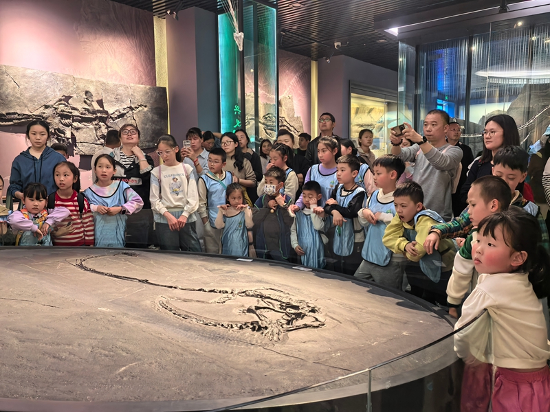 青少年專注聆聽科普講師介紹貴州地貌演變及化石相關知識.jpg