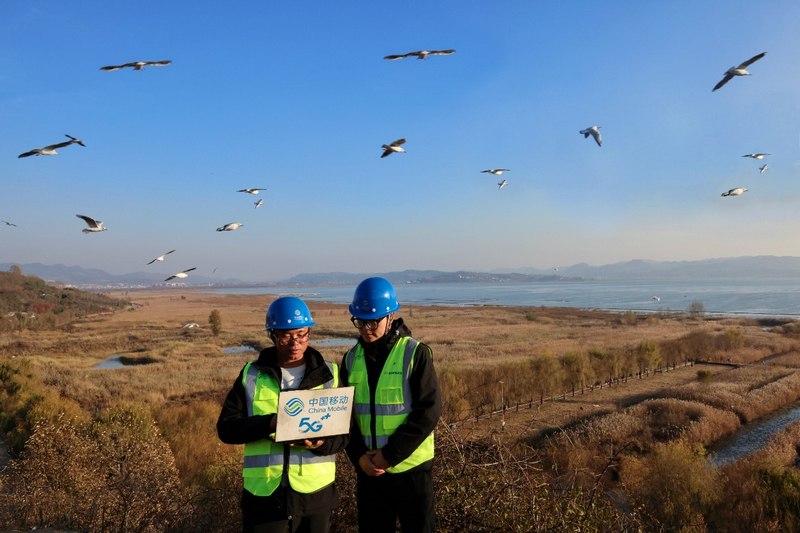 5G+生態(tài)監(jiān)測應用場景。