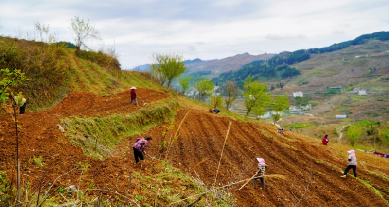 春耕備耕工作 (1).jpg