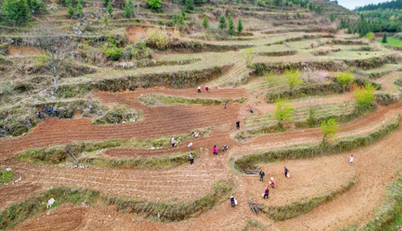 春耕備耕工作。