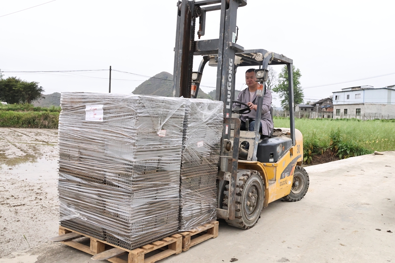 農技指導按下缽苗育秧“快進鍵”。