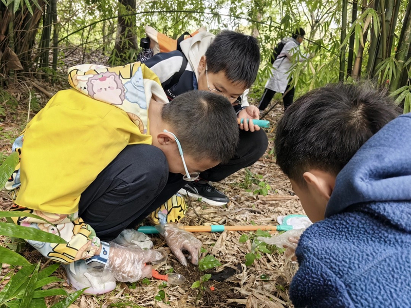 走進自然動手采集野外生物樣本。