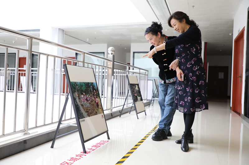 市民游客前來觀展。