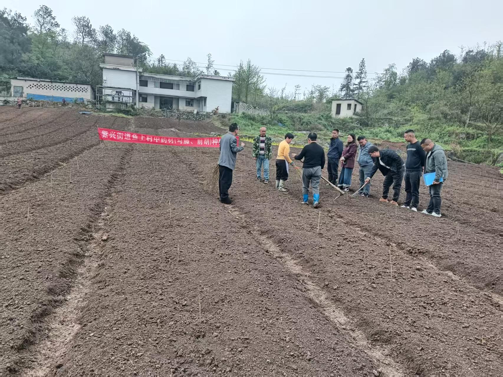 圖為：：技術(shù)員給村民指導(dǎo)播種技巧