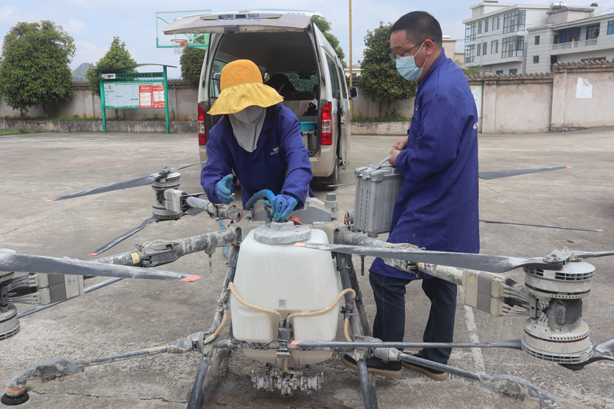 油菜全面開(kāi)展飛防作業(yè)。