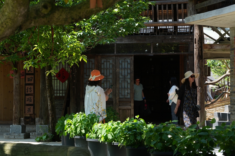 游客游玩打卡拍照。