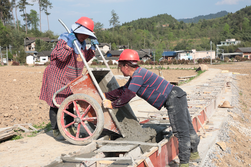 10萬畝高標(biāo)農(nóng)田建設(shè)加速跑 不誤農(nóng)時保春耕。
