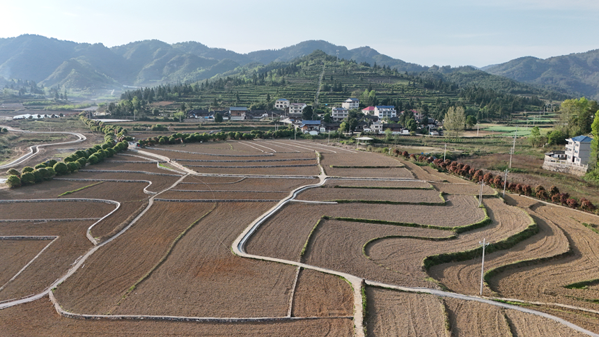 10萬畝高標(biāo)農(nóng)田建設(shè)加速跑 不誤農(nóng)時保春耕。