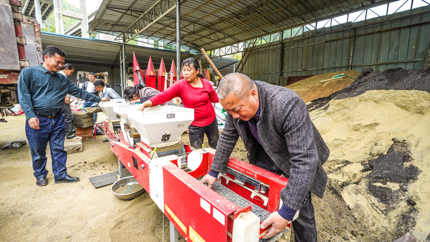 搶抓農(nóng)時(shí) 機(jī)械化育秧忙。