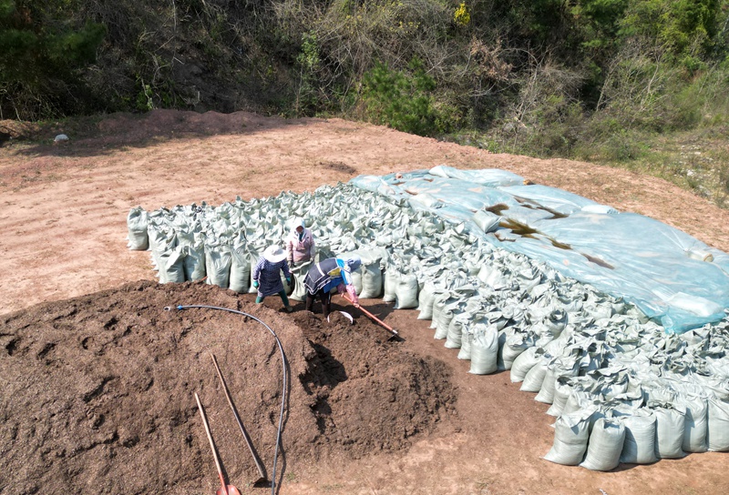 有機肥加工現場2