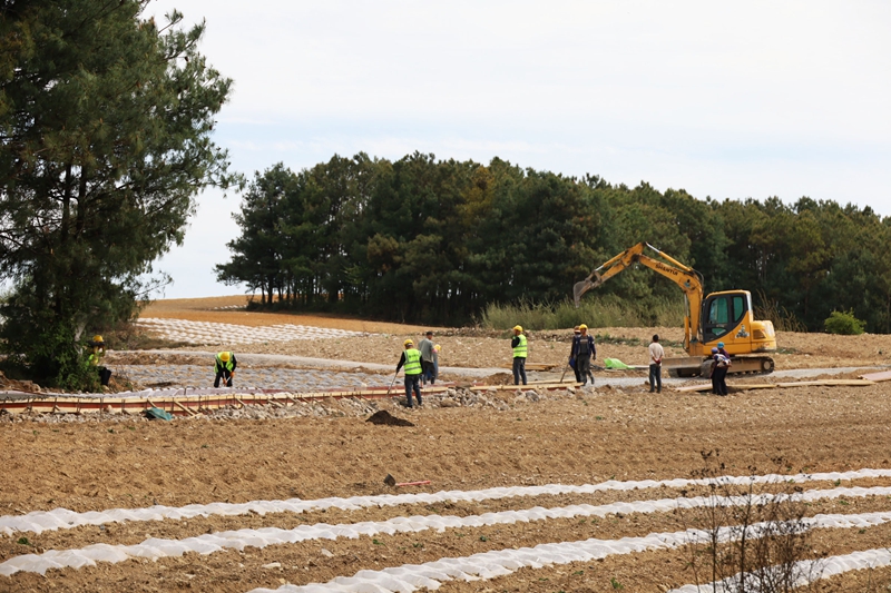 觀風(fēng)海鎮(zhèn)果化村施工工人正在進(jìn)行高標(biāo)準(zhǔn)農(nóng)田生產(chǎn)路硬化。