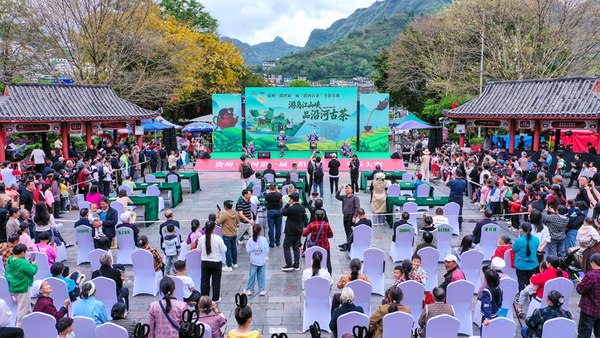 1 貴州·沿河第一屆“沿河古茶”斗茶大賽現場。張洪全攝