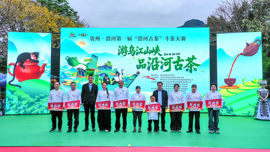 2 貴州·沿河第一屆“沿河古茶”斗茶大賽現場。張洪全攝