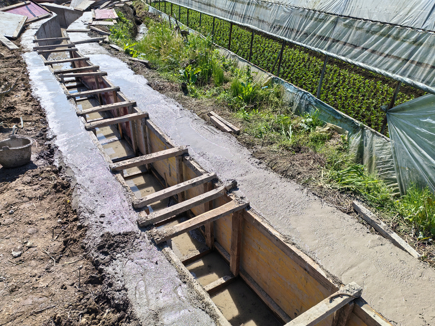 工作人員忙著打底板、支盒子、澆筑溝幫 。