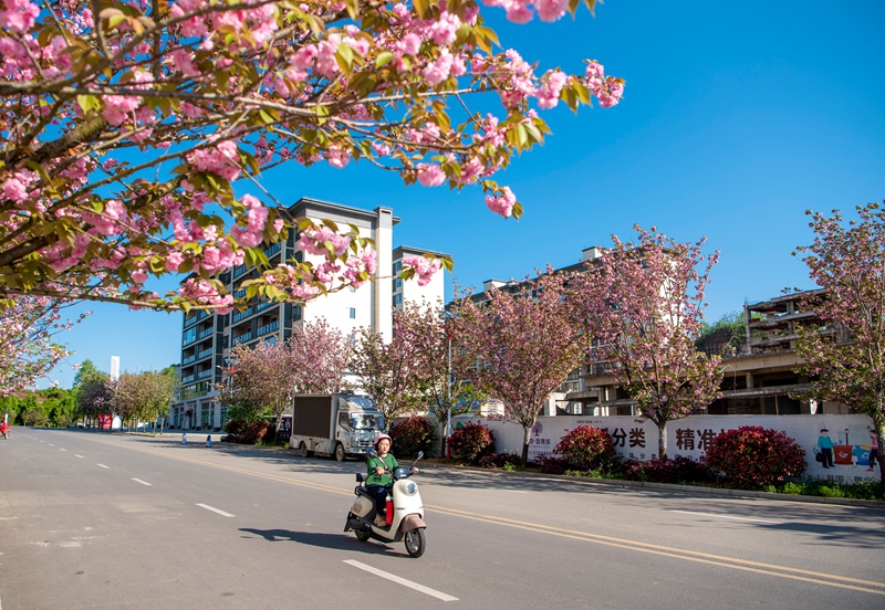黔西市同心大道。