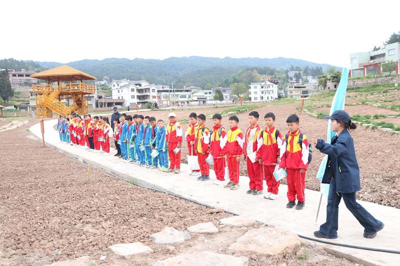 學生們到達“碧水長歌”丁家寨研學基地 邱雪 攝.jpg