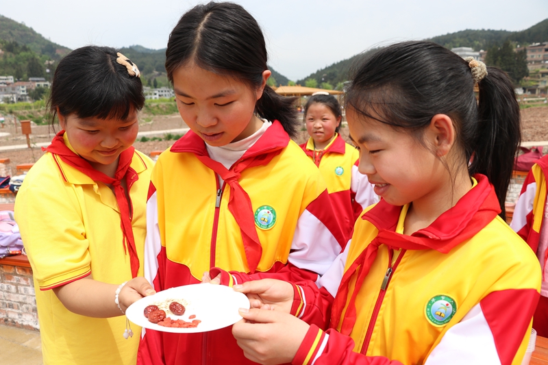“碧水長歌”丁家寨研學基地 養生食材大闖關中,學生學習養生知識 邱雪 攝.jpg