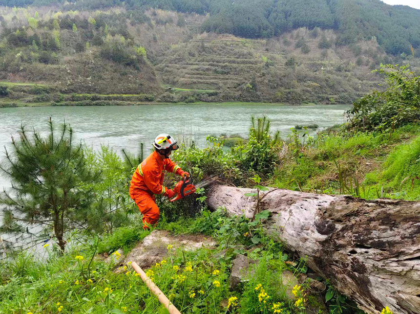 施秉縣馬號鎮(zhèn)專職消防隊員對金鐘村村民房后一棵傾斜嚴重的枯木進行處置。