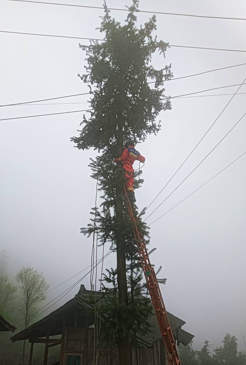 施秉縣牛大場鎮(zhèn)專職隊員對石橋村一棵枯死多年的老樹進行處置。