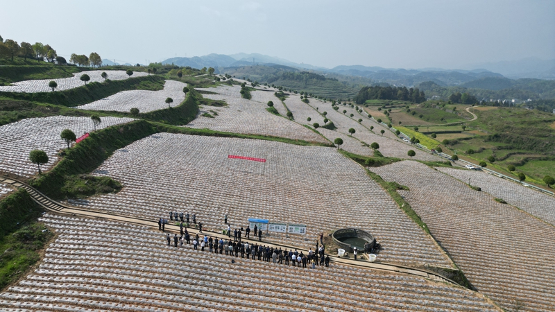 培訓現(xiàn)場2（楊亞旭 攝）.JPG