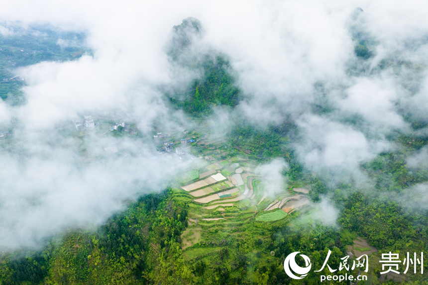 烏江岸邊的青山之上，云霧升騰，宛如一幅剛剛落筆的潑墨山水畫。人民網(wǎng)記者 涂敏 攝