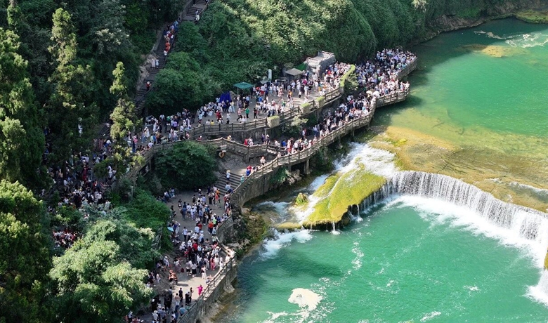 一“樹”煥彩 山水向新