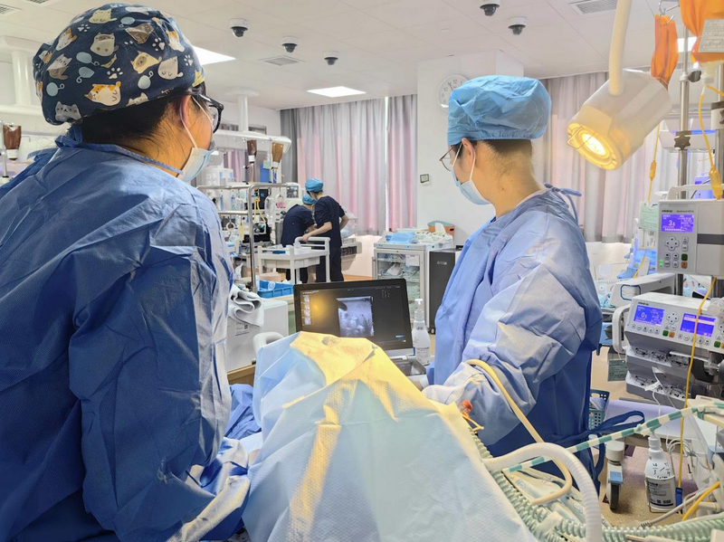 PICC置管后進行床旁超聲尖端定位。