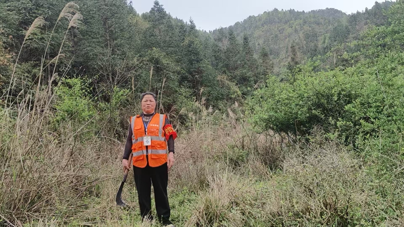 松桃普覺鎮各村護林員在巡進山。