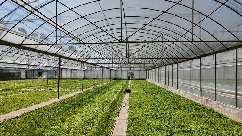 禹謨基地單元桃園育苗工場。 彭垚攝.JPG