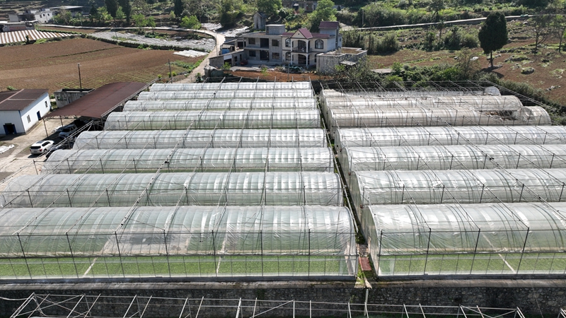 禹謨基地單元桃園育苗工場航拍。 曾加錄攝.jpg