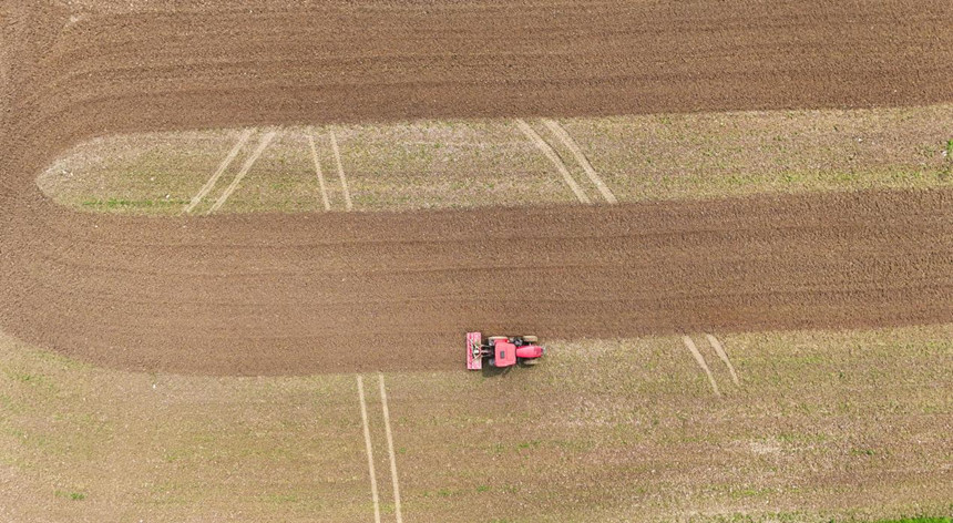 機(jī)械化賦能冬瓜種植 早熟優(yōu)產(chǎn)直通大灣區(qū)。