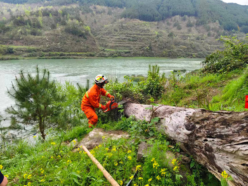 馬號(hào)鎮(zhèn)專(zhuān)職隊(duì)員對(duì)金鐘村村民房后一棵傾斜嚴(yán)重的枯木進(jìn)行處置。