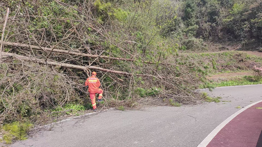 白垛鄉(xiāng)專(zhuān)職隊(duì)員清理影響路面視線的雜亂樹(shù)枝。