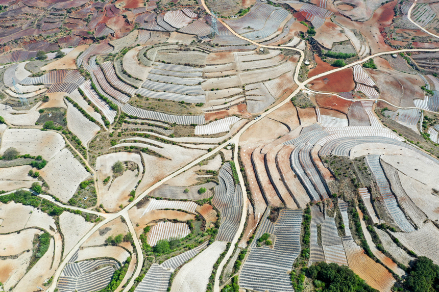 2026年4月13日，威寧自治縣迤那鎮櫻桃村，縱橫交錯的田壟、整齊規整的地塊、蜿蜒延伸的耕作線條，如同大自然鐫刻的大地“指紋”，蔚為壯觀。陳逍攝