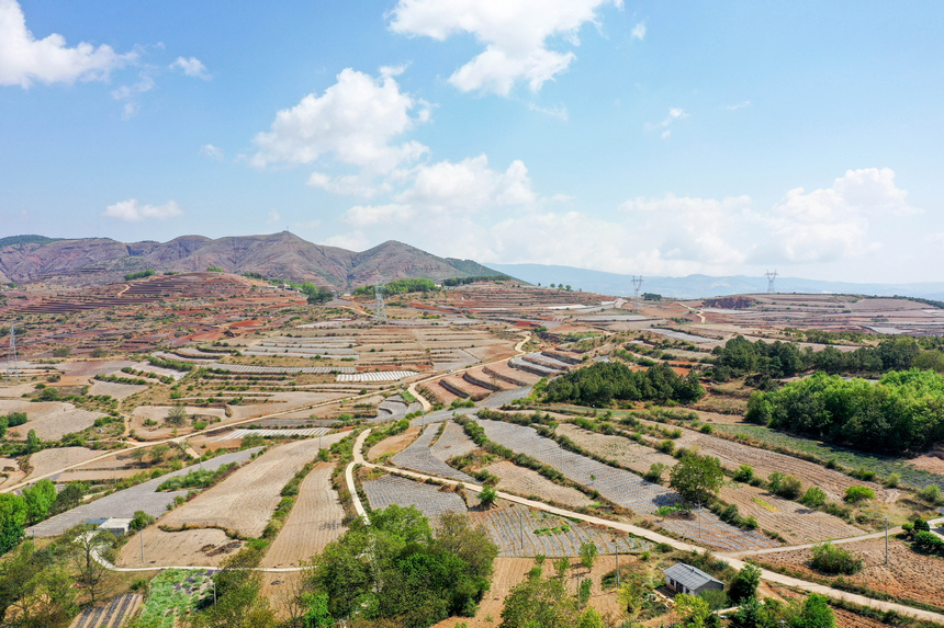 2026年4月13日，航拍威寧自治縣迤那鎮櫻桃村一角。陳逍攝