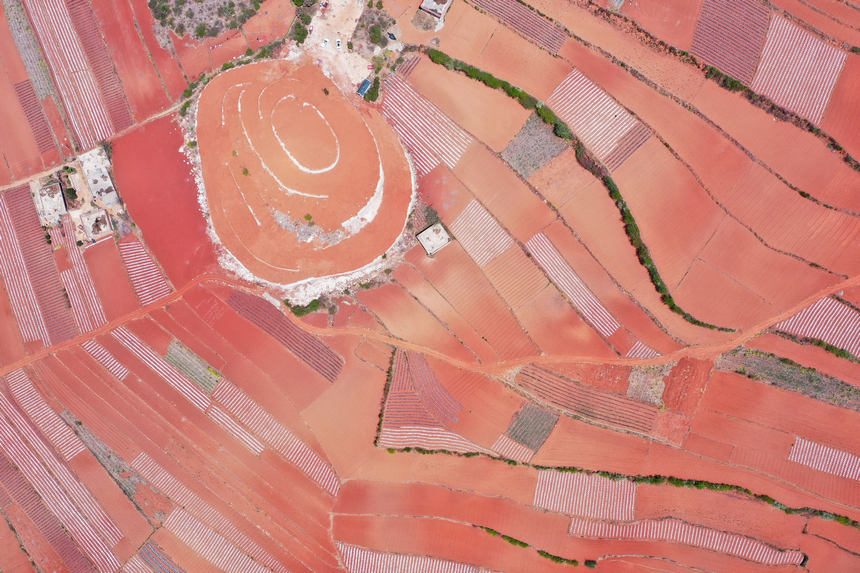 2026年4月13日，威寧自治縣迤那鎮雙營村，春耕整理后的土地，線條紋理有致，猶如大地“指紋”，蔚為壯觀。陳逍攝