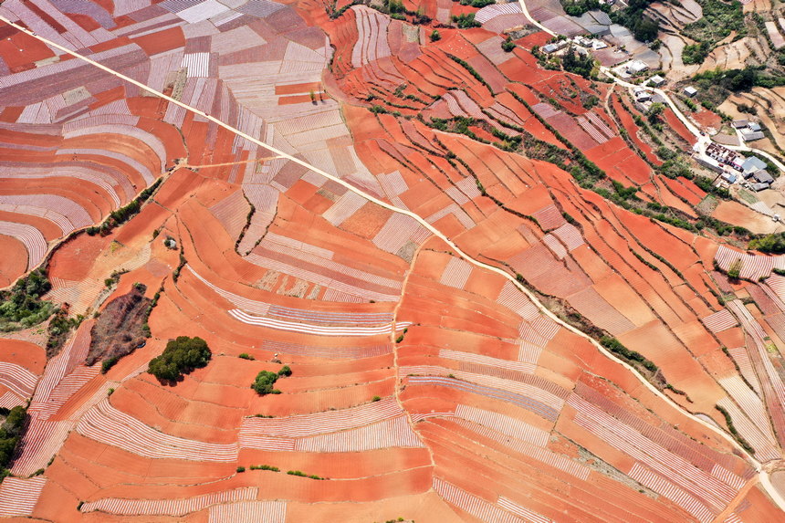 2026年4月13日，威寧自治縣迤那鎮雙營村，春耕整理后的土地，線條紋理有致，猶如大地“指紋”，蔚為壯觀。陳逍攝