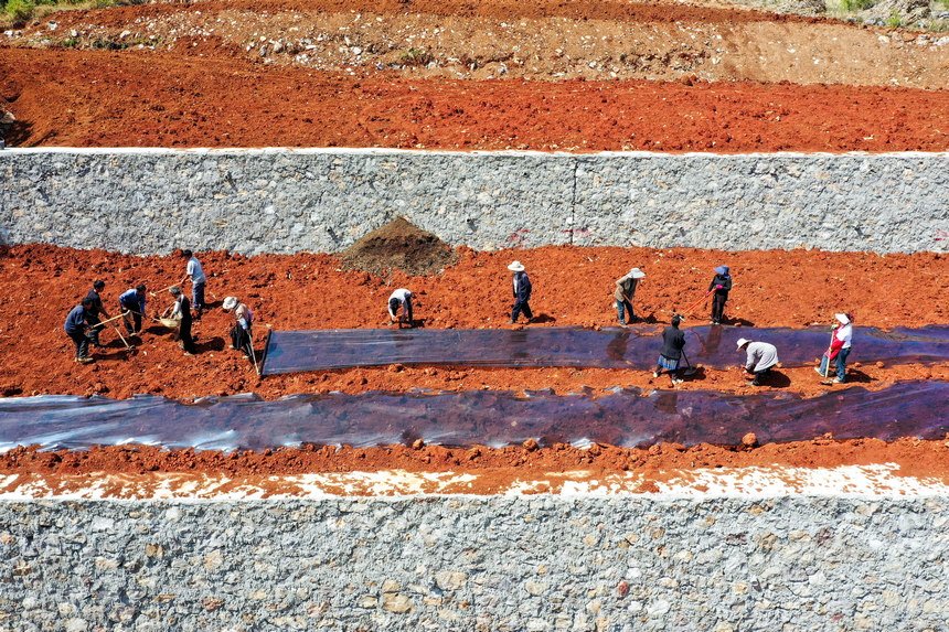 2026年4月13日，威寧自治縣迤那鎮櫻桃村，農戶忙著種植玉米。陳逍攝