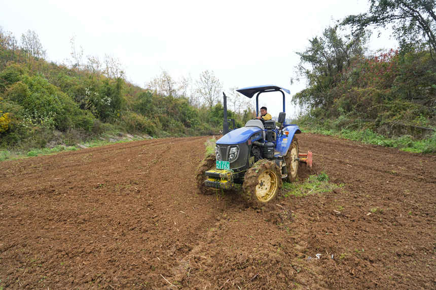 大型旋耕機正在進行耕種。