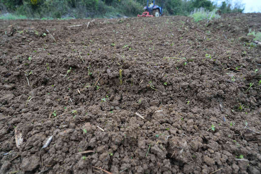 耕過的土地變的柔軟。